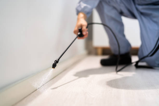 Licensed Termite Control service in Bushyhead, OK - Nex Pest Control