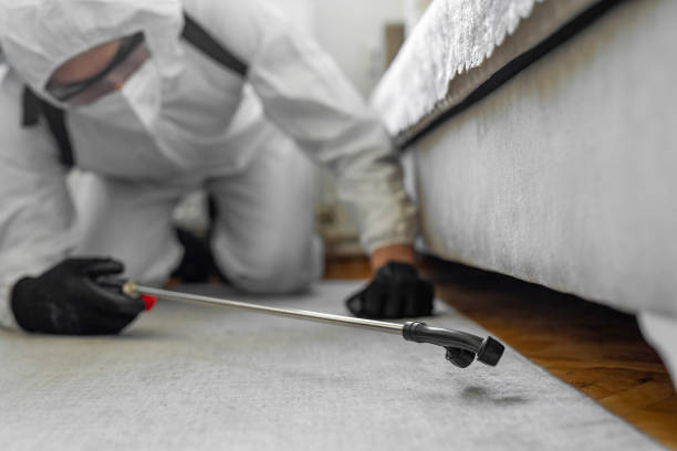 Professional Termite Control technician working in Bushyhead, OK