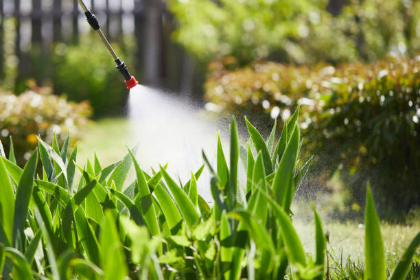 24/7 Emergency Termite Control experts in Bushyhead, OK