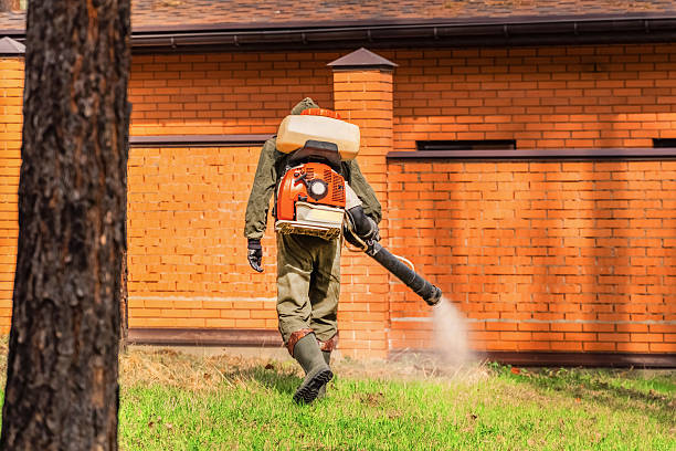 Top rated local Termite Control specialists in Bushyhead, OK